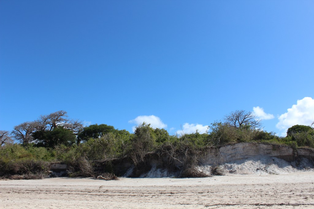 PhD Studentship Call for&nbsp;Applications