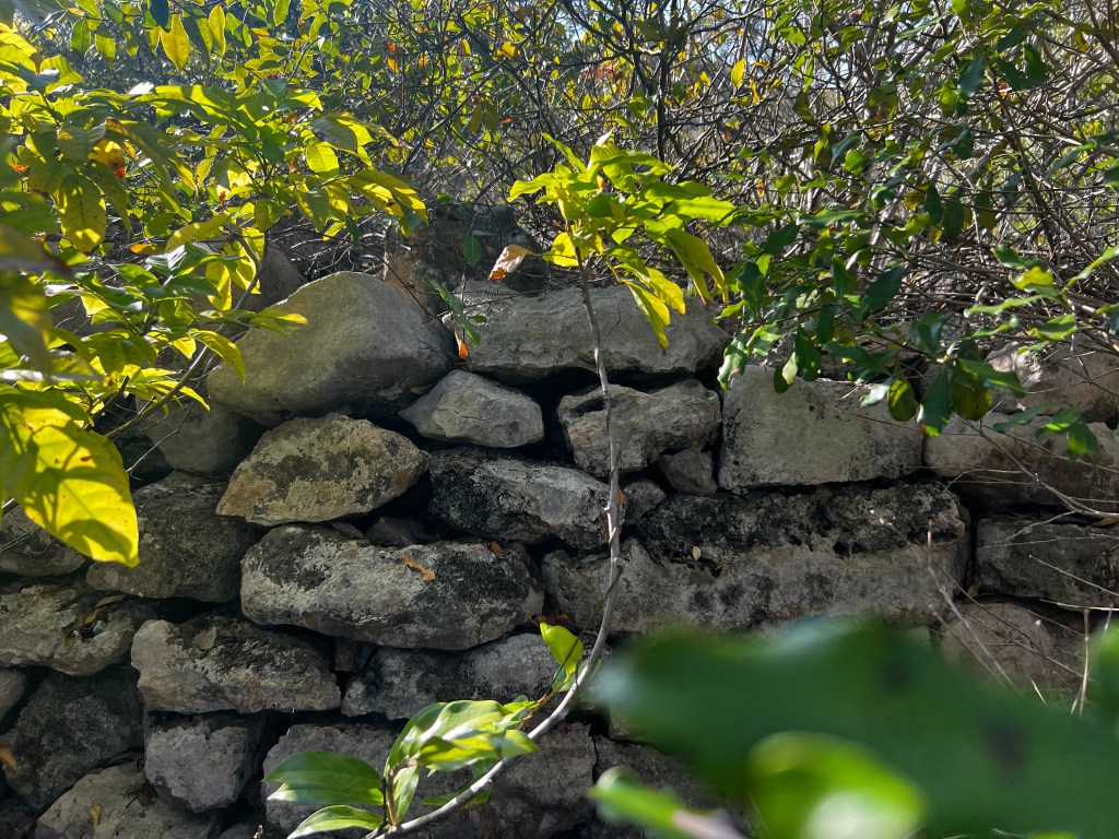 Project Update: Fieldwork Season 2025 and&nbsp;Instagram