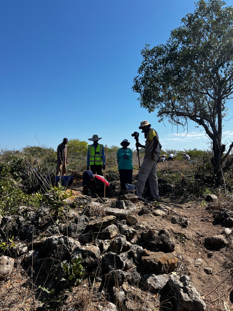 Four archaeologists surround a small trench (not visible) with a fifth archaeologist inside.  The rubble of a stone wall is visible in the foreground.