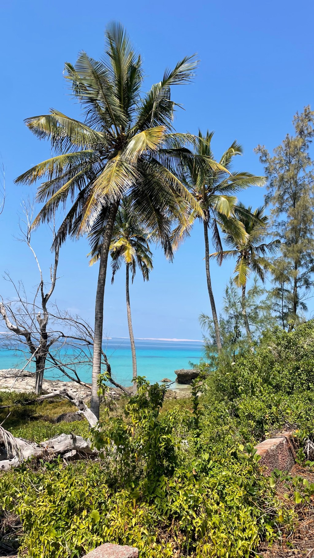 Inhambane and Bazaruto in Historical Records – Guest Blog Post