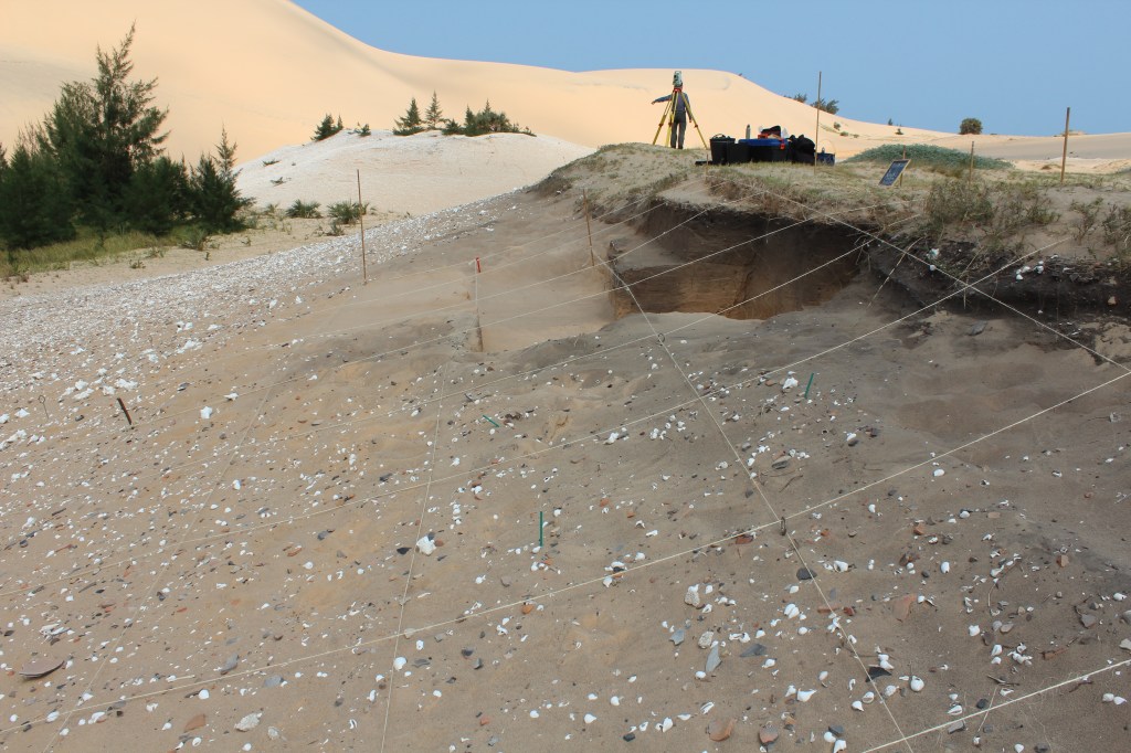 An archaeological excavation cutting into a sand dune, with shells in the foreground